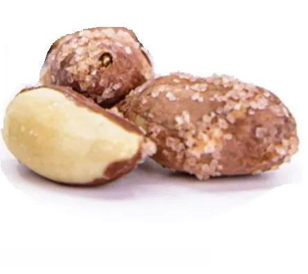 TUZLU FISTIK (100GR)