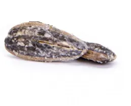 TUZLU ÇEKİRDEK (100GR)