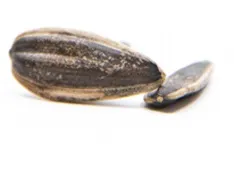 TUZSUZ ÇEKİRDEK (100GR)