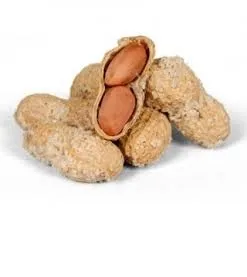 KABUKLU FISTIK (100GR)