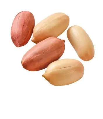 TUZSUZ FISTIK (100GR)